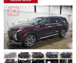 هيونداي باليسيد